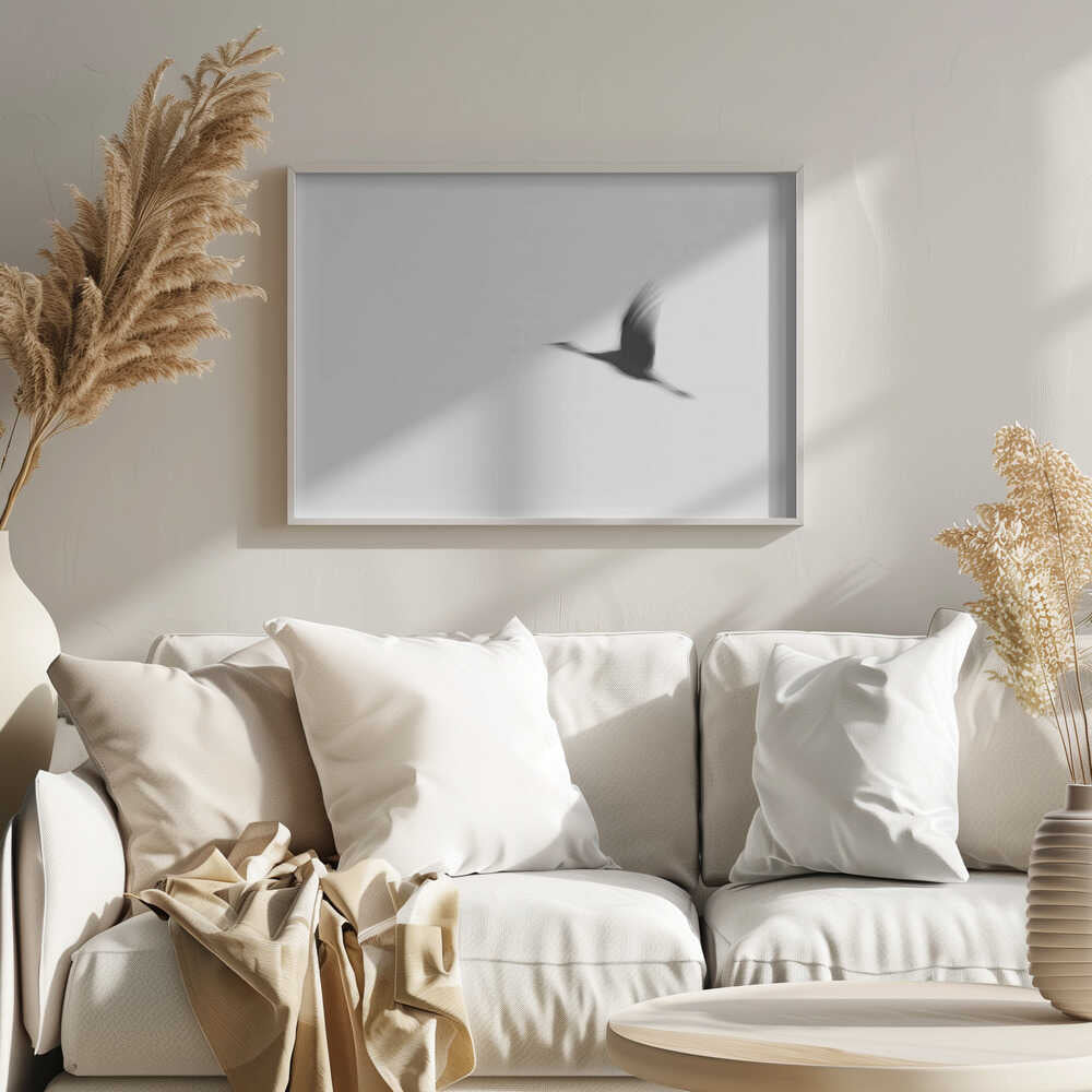 Graceful Motion Flight, arte de Tal Paz-Fridman