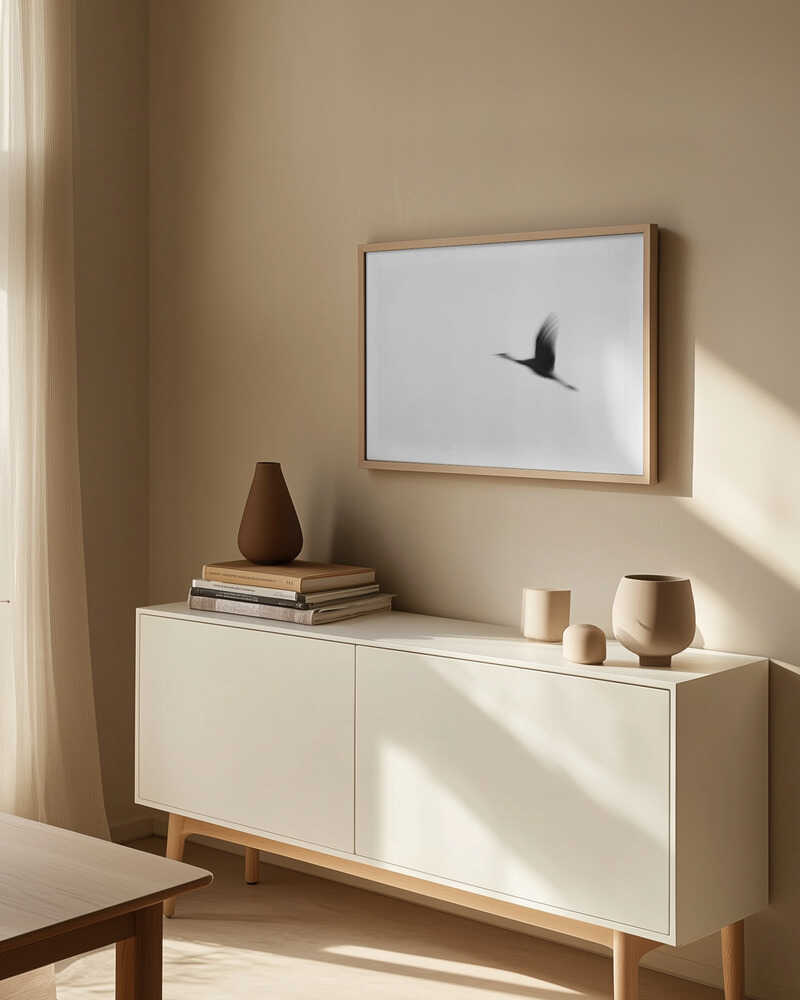 Graceful Motion Flight, arte de Tal Paz-Fridman