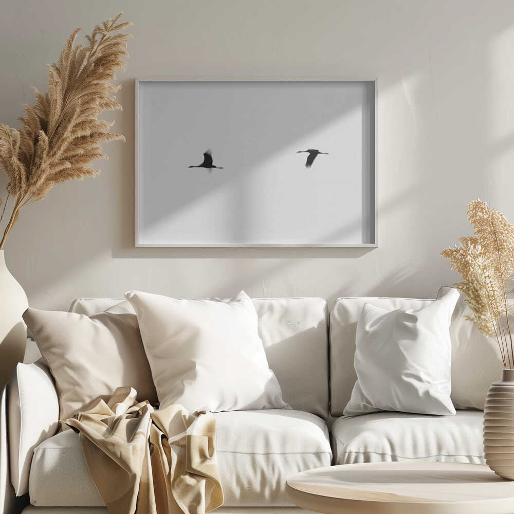 Flying Cranes Silhouette, arte de Tal Paz-Fridman