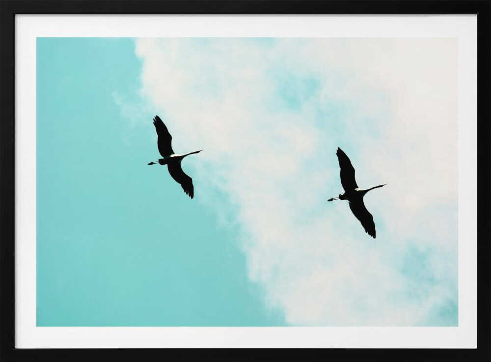 Two Birds Soaring, arte de Tal Paz-Fridman