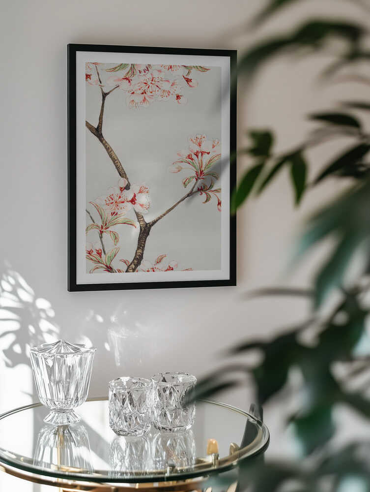 Sakura Cherry During 1870–1880, arte de Megata Morikaga
