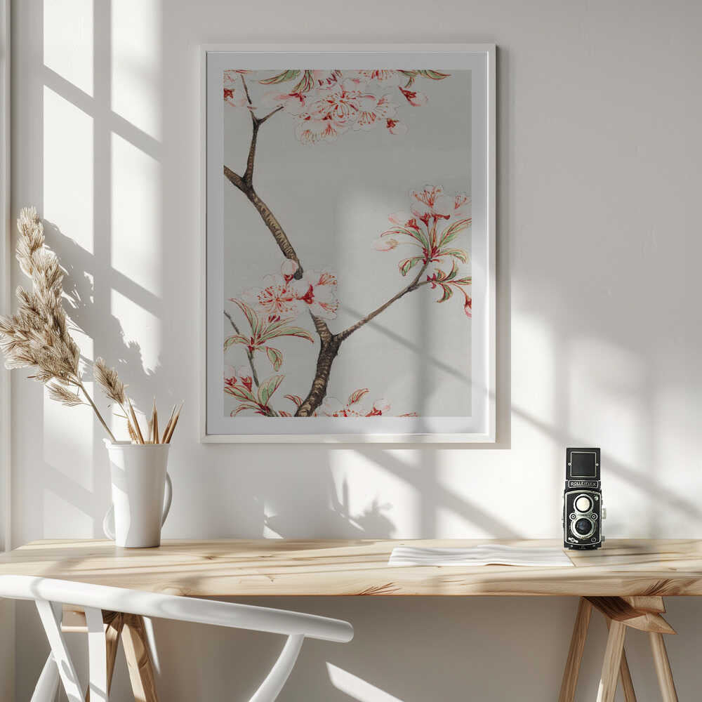 Sakura Cherry During 1870–1880, arte de Megata Morikaga