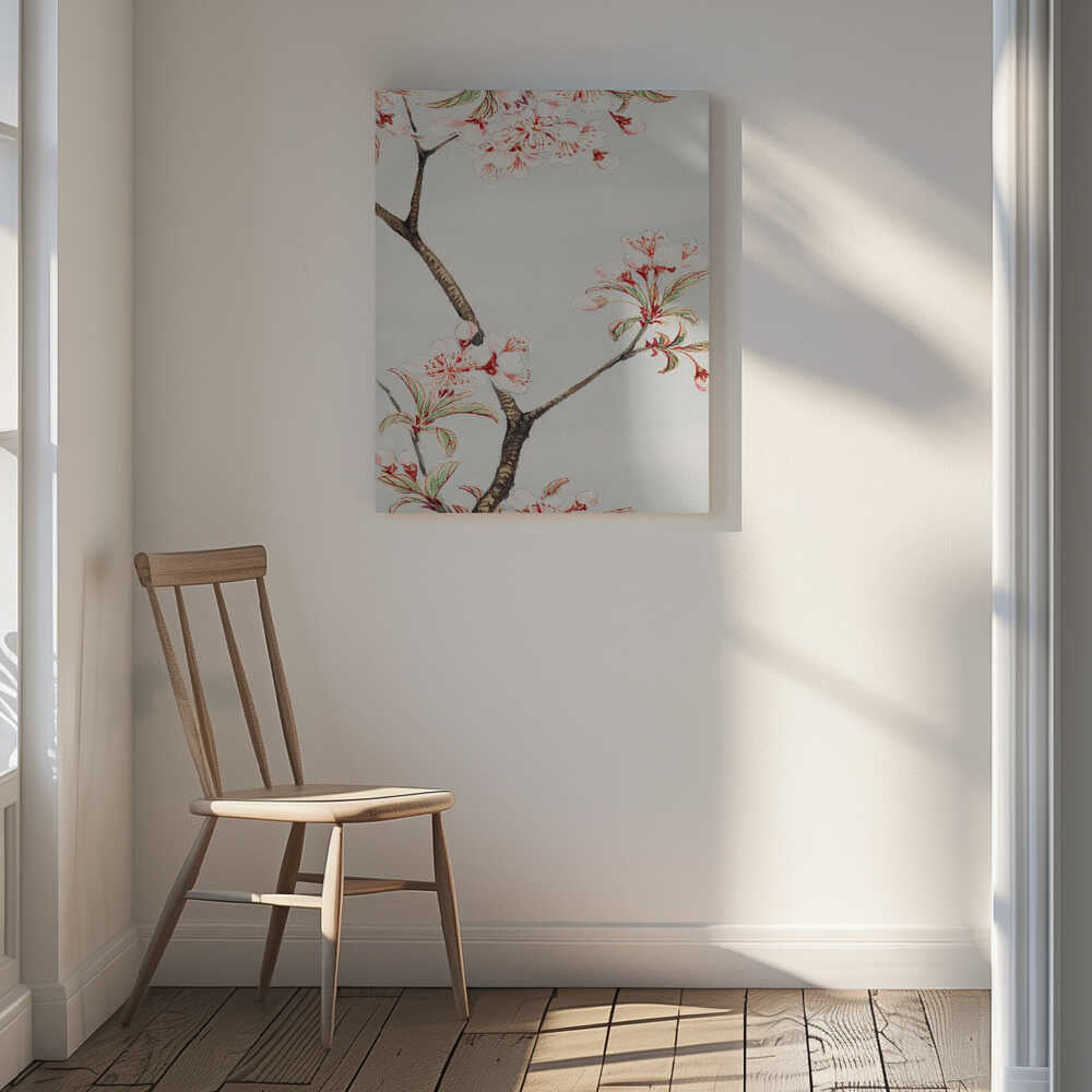 Sakura Cherry During 1870–1880, arte de Megata Morikaga