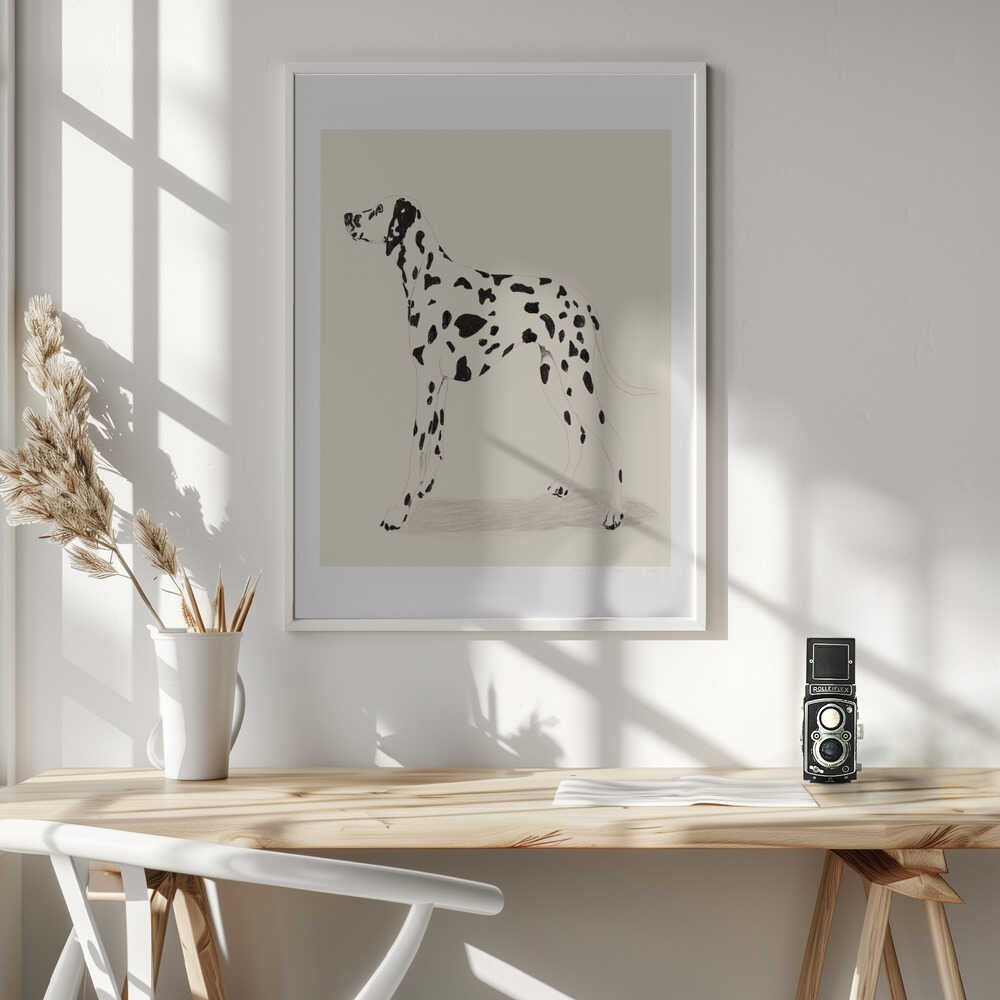 Pandc Dalmation, arte de Jenny Liz Rome