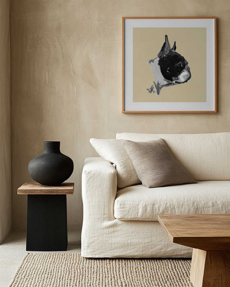 Expressive Boston Terrier Portrait