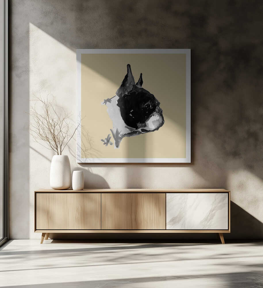 Expressive Boston Terrier Portrait