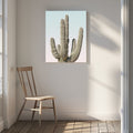 Saguaro