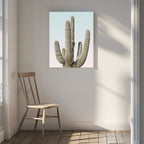 Saguaro