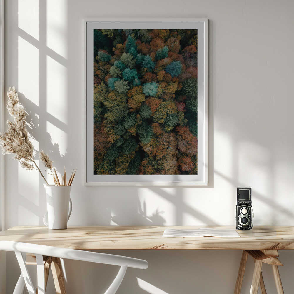 Vibrant Autumn Forest, arte de Javier Pardina