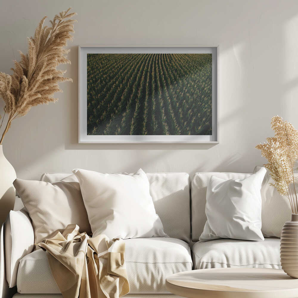 Golden Corn Field Rows, arte de Javier Pardina