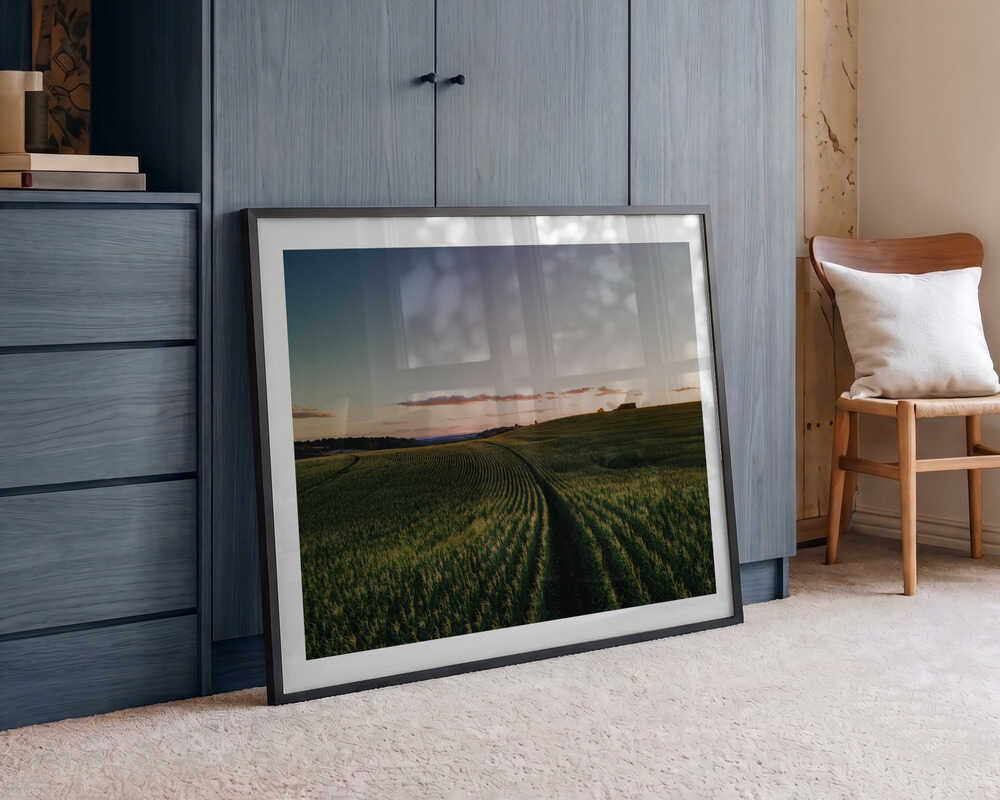 Curving Farm Field, arte de Javier Pardina