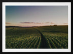 Curving Farm Field, arte de Javier Pardina