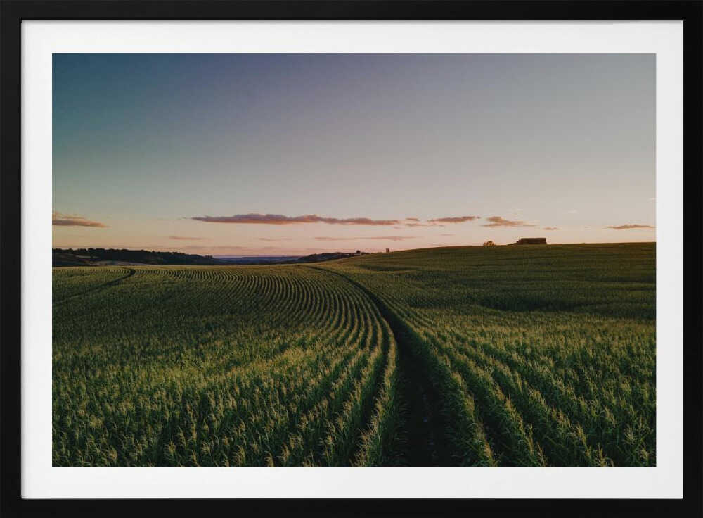 Curving Farm Field, arte de Javier Pardina