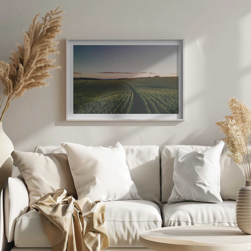 Curving Farm Field, arte de Javier Pardina