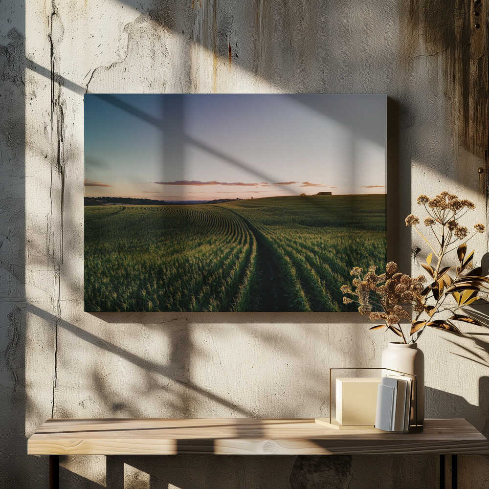 Curving Farm Field, arte de Javier Pardina