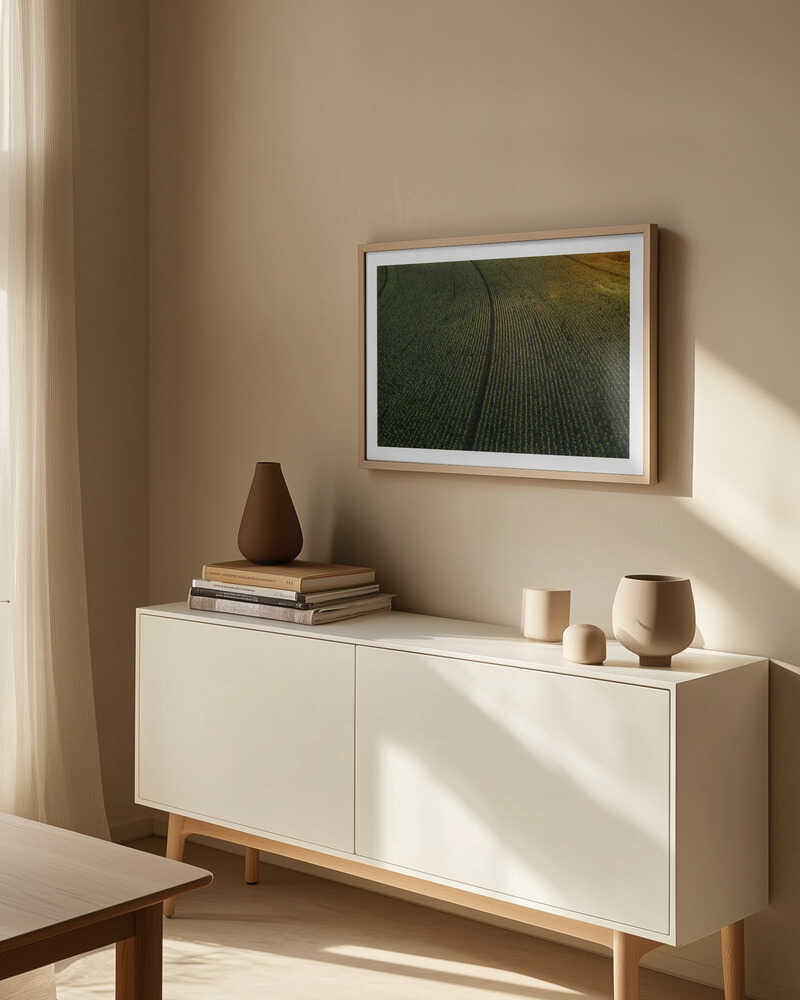 Sunlit Green Crop Rows, arte de Javier Pardina