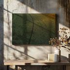 Sunlit Green Crop Rows, arte de Javier Pardina