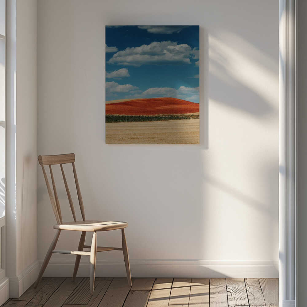 Red Field Blue Sky, arte de Javier Pardina