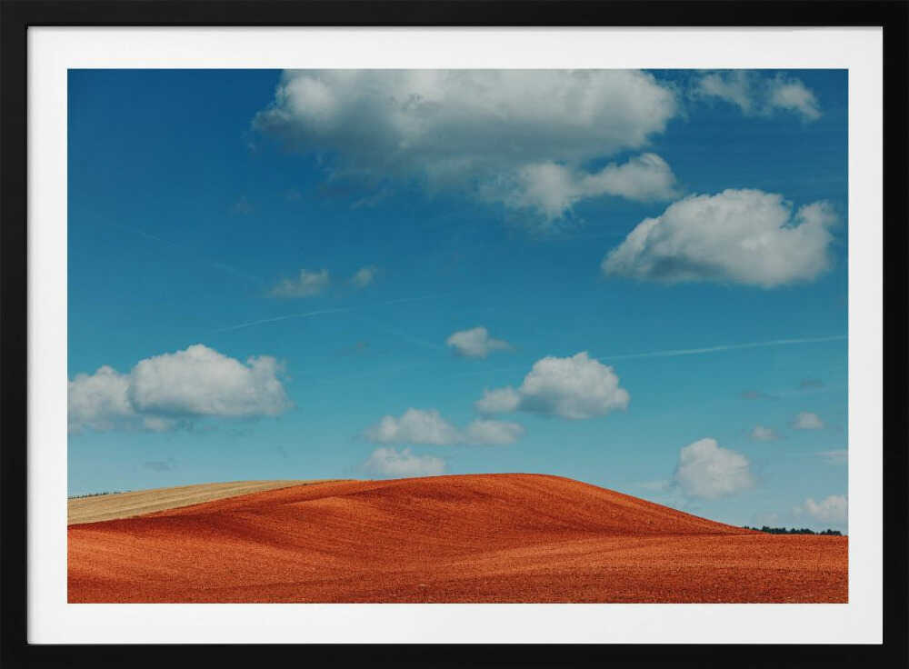 Red Fields Blue Sky, arte de Javier Pardina