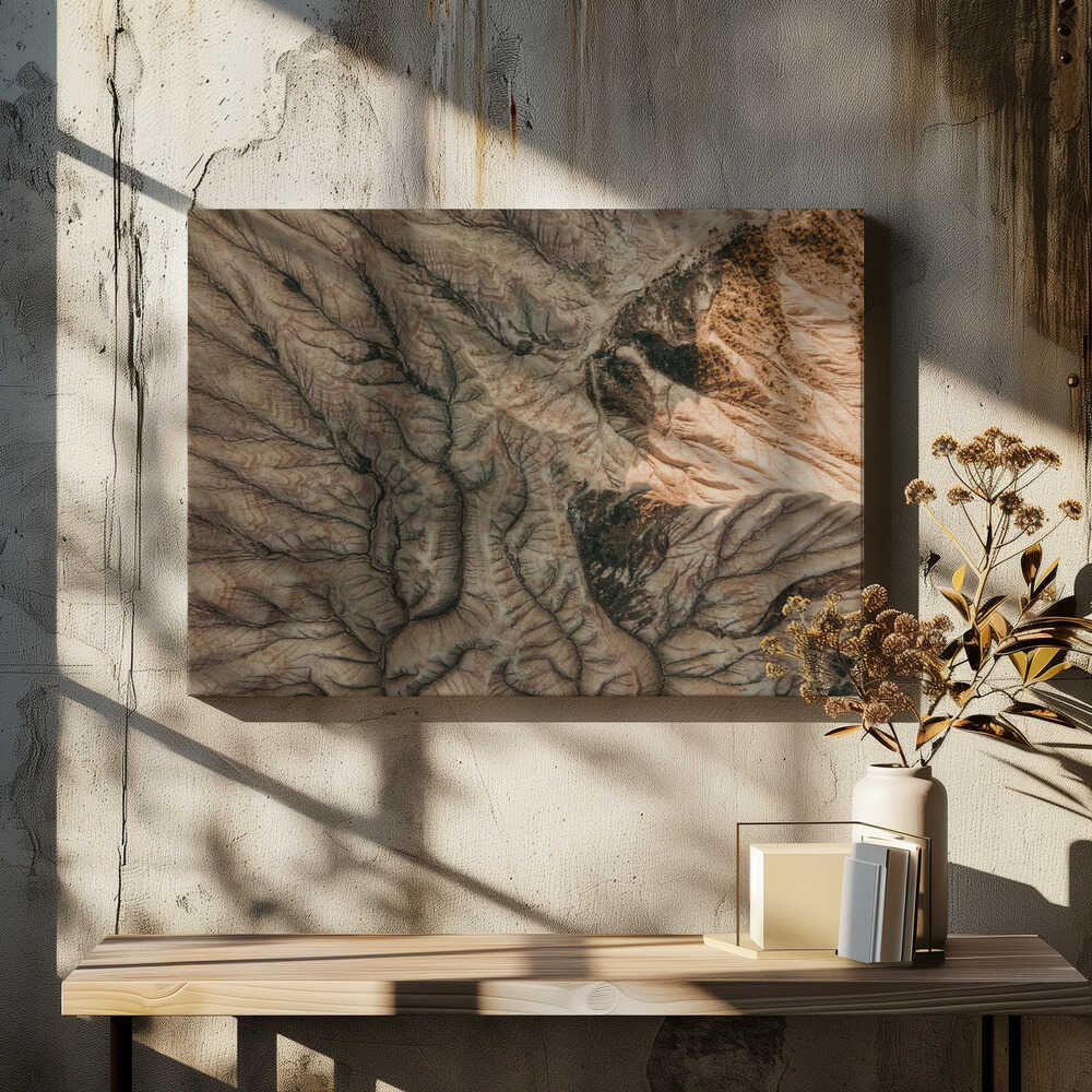 Arid Earth Patterns, arte de Javier Pardina
