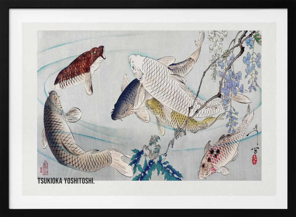 Six Carp Swimming Beneath Wisteria (1889), arte de Tsukioka Yoshitoshi
