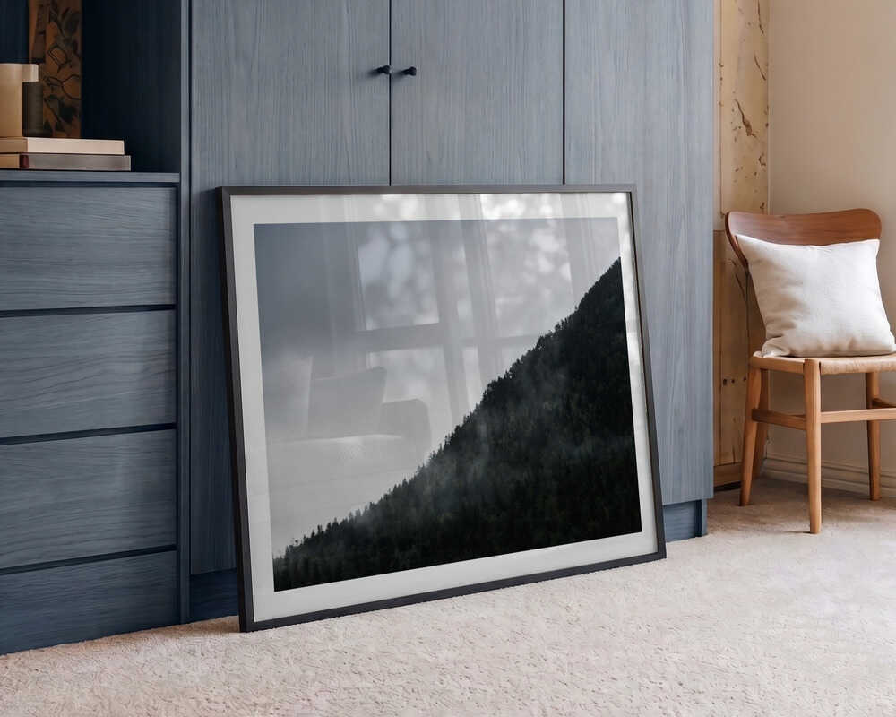 Misty Mountain Forest, arte de Javier Pardina