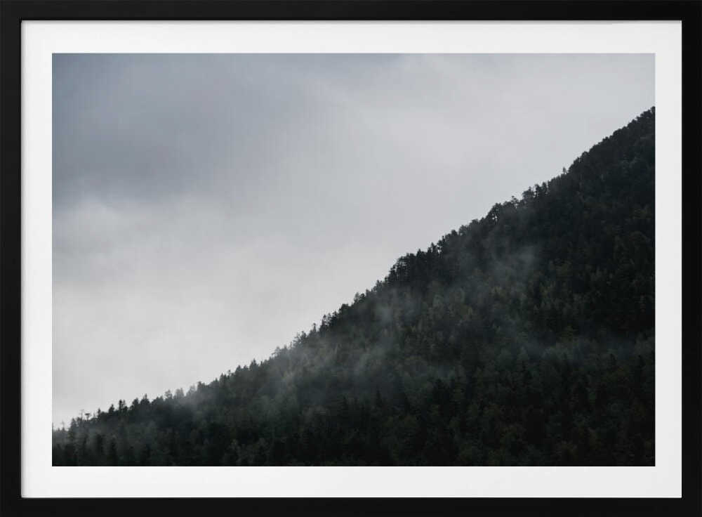 Misty Mountain Forest, arte de Javier Pardina