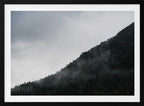 Misty Mountain Forest, arte de Javier Pardina