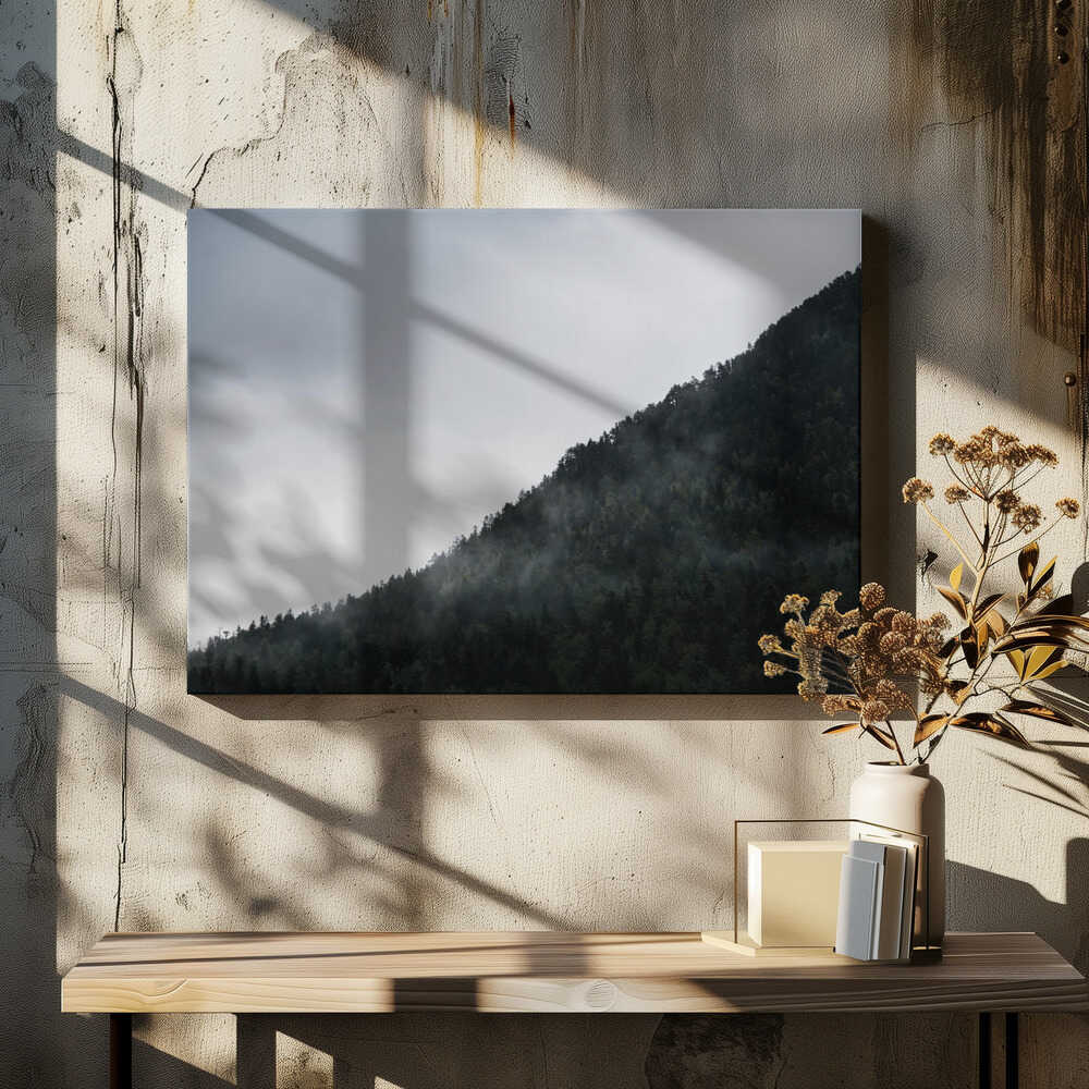 Misty Mountain Forest, arte de Javier Pardina