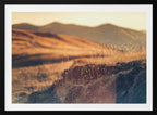 Golden Hour Hills, arte de Javier Pardina