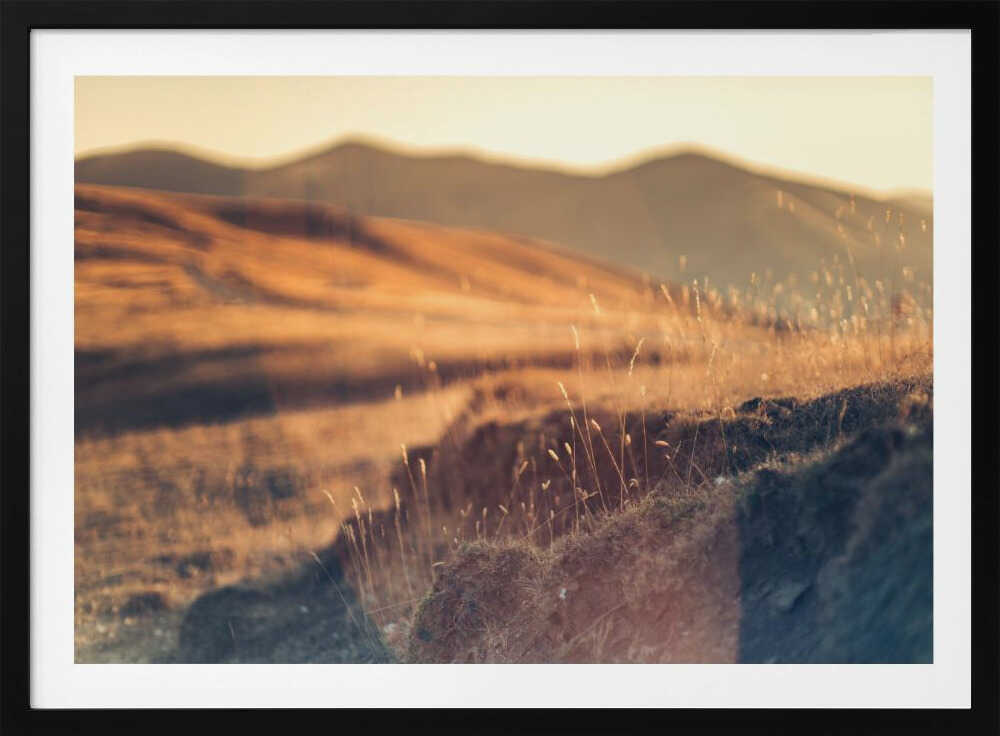 Golden Hour Hills, arte de Javier Pardina