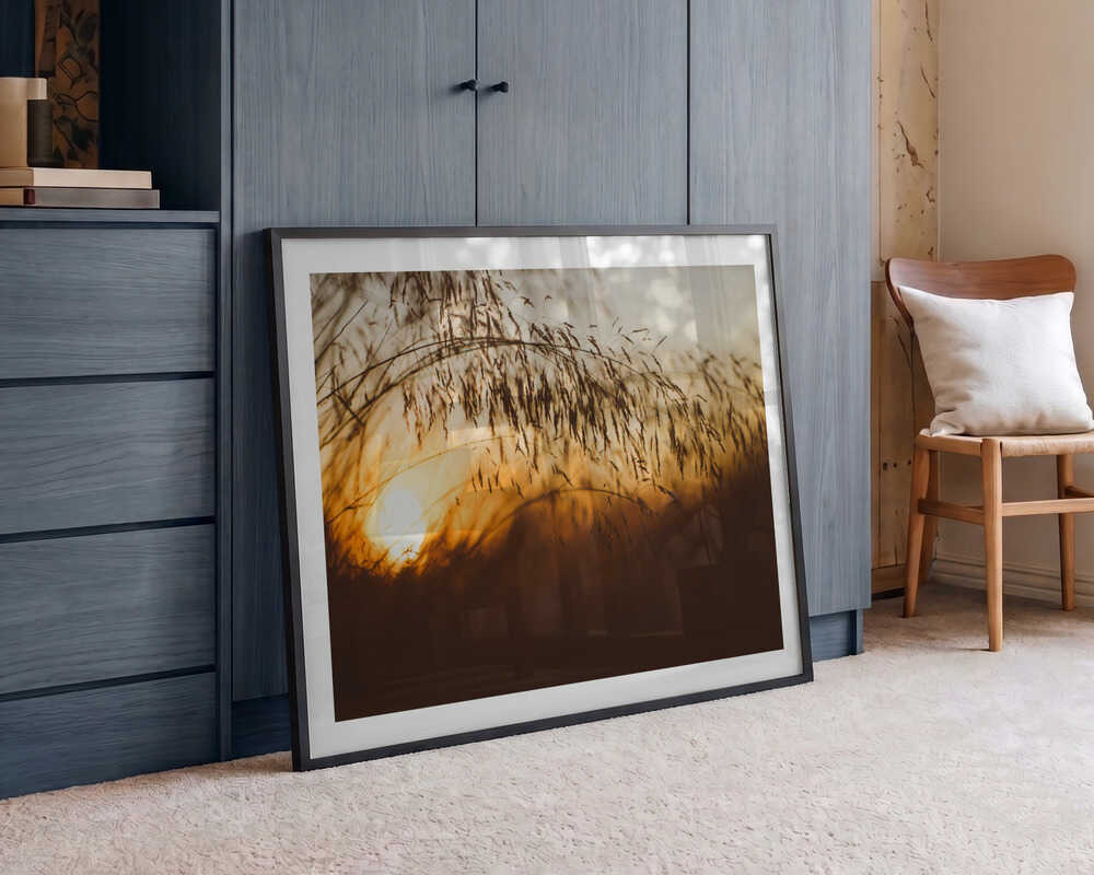 Golden Hour Grass, arte de Javier Pardina