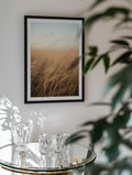 Golden Hour Grass, arte de Javier Pardina