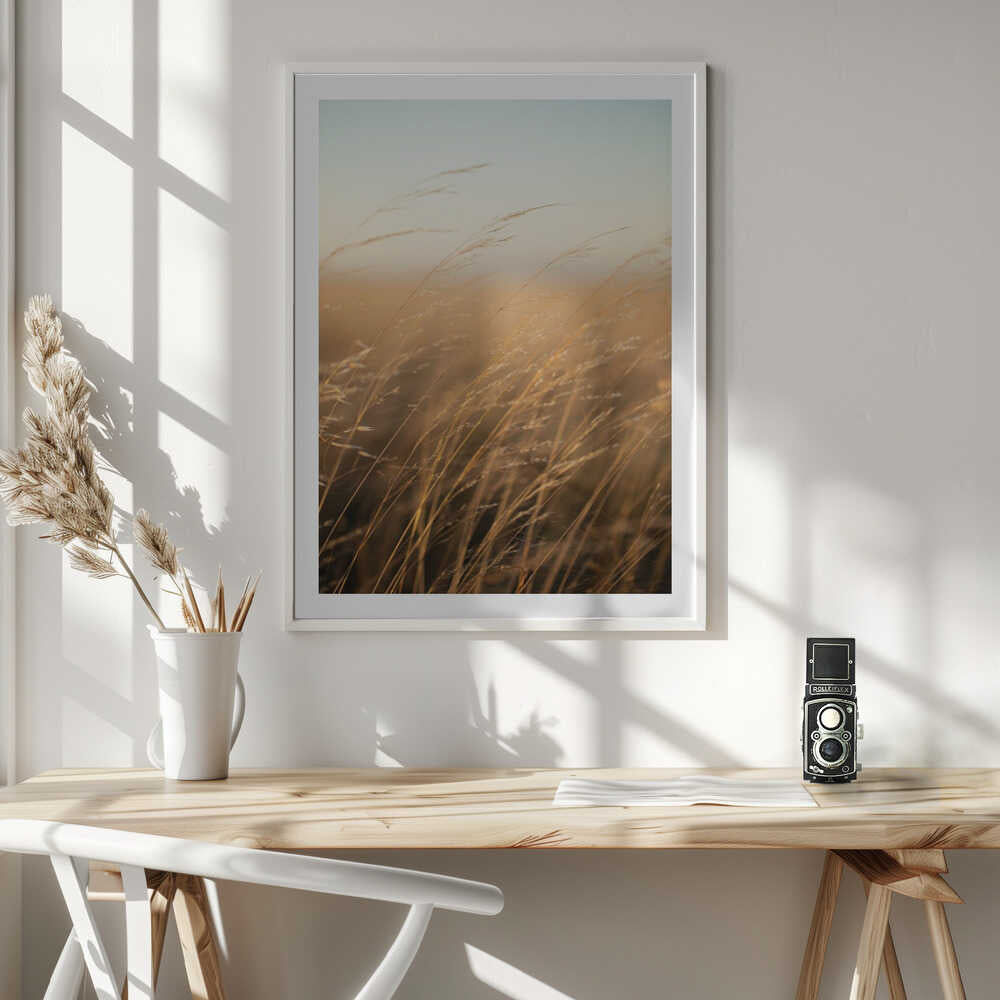 Golden Hour Grass, arte de Javier Pardina