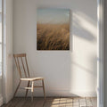 Golden Hour Grass, arte de Javier Pardina