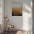Golden Hour Grass, arte de Javier Pardina
