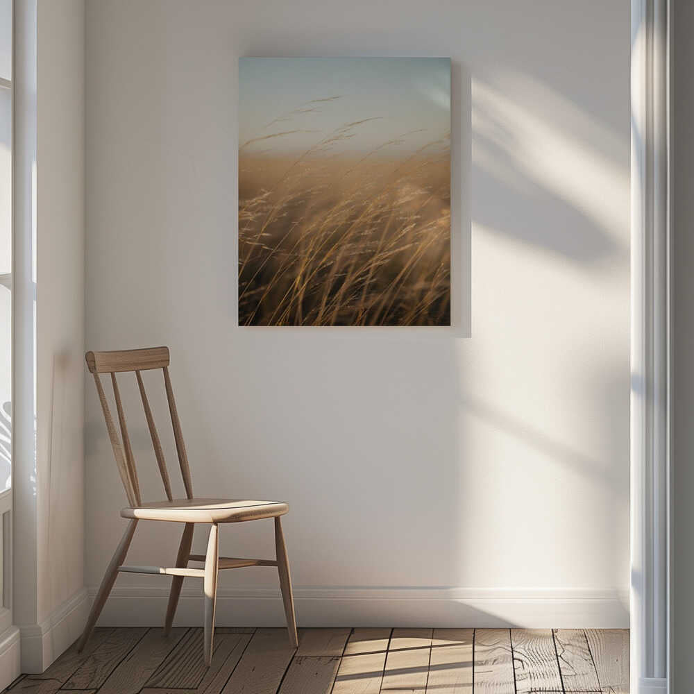 Golden Hour Grass, arte de Javier Pardina