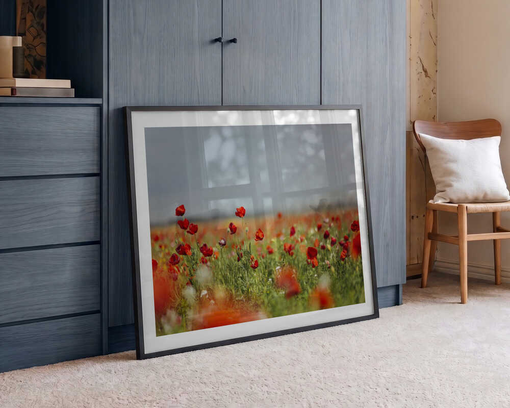 Red Poppy Field, arte de Javier Pardina