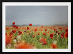 Red Poppy Field, arte de Javier Pardina