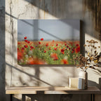 Red Poppy Field, arte de Javier Pardina