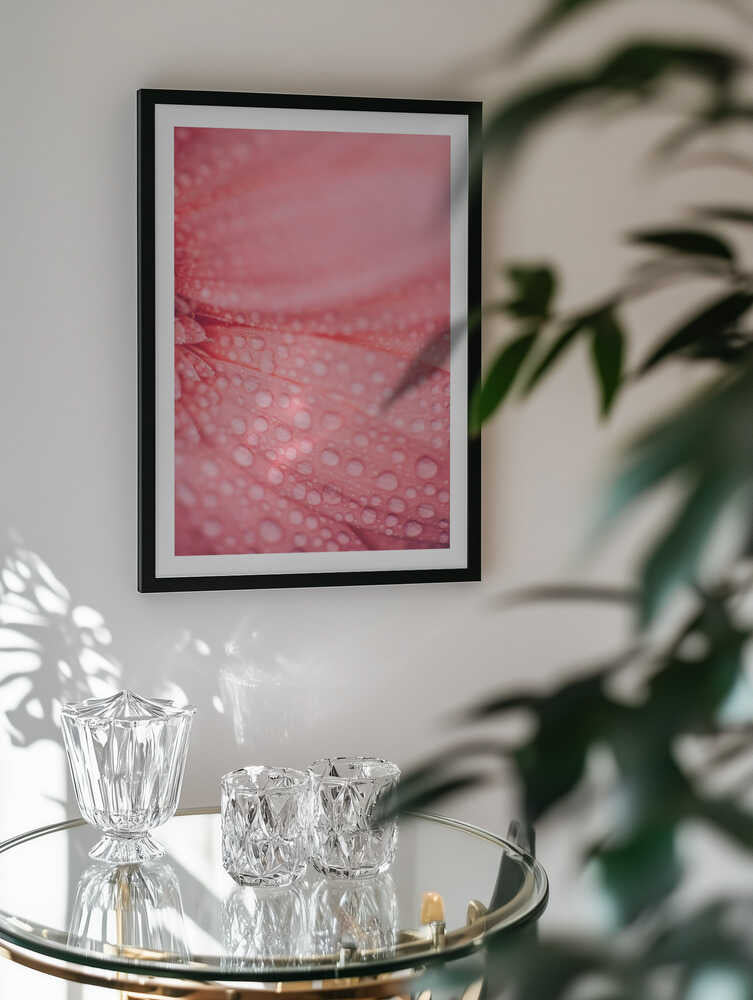 Soft Pink Bloom, arte de Javier Pardina