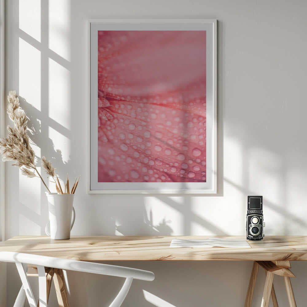 Soft Pink Bloom, arte de Javier Pardina