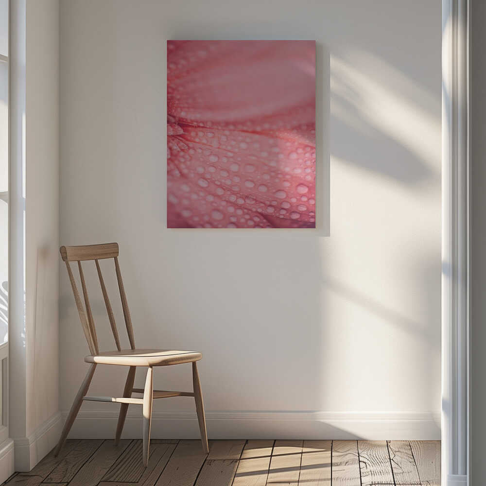 Soft Pink Bloom, arte de Javier Pardina