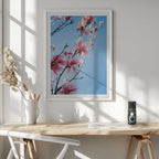 Pink Magnolia Blossoms, arte de Javier Pardina