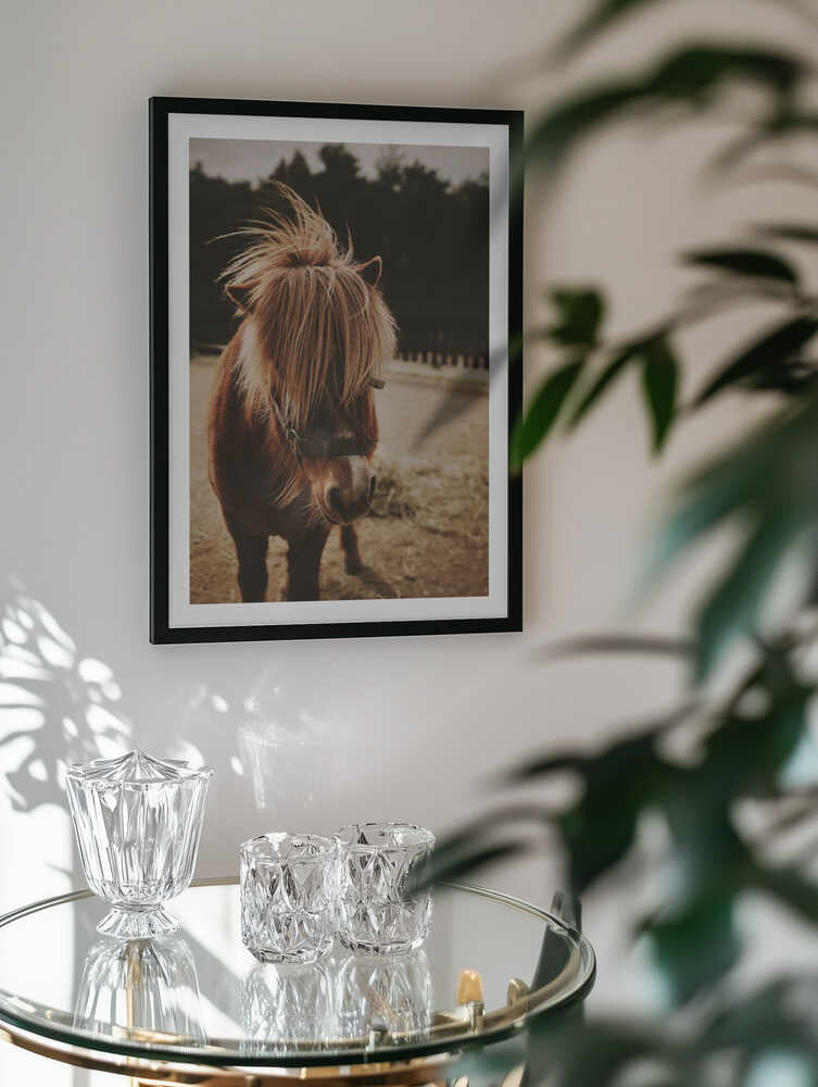 Adorable Shaggy Pony, arte de Javier Pardina