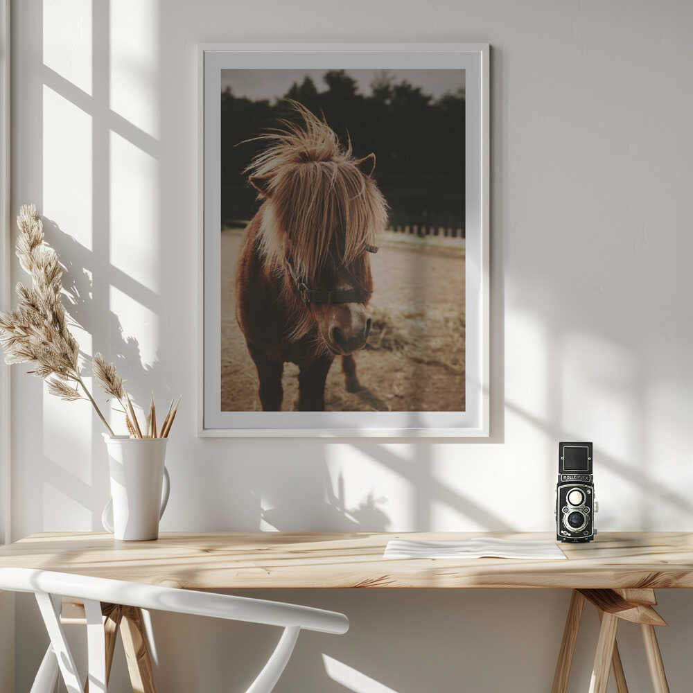 Adorable Shaggy Pony, arte de Javier Pardina