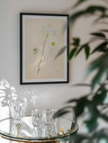 Delicate White Poppies, arte de Mette Rix