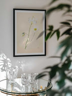 Delicate White Poppies, arte de Mette Rix