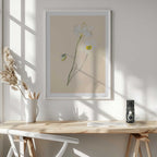 Delicate White Poppies, arte de Mette Rix
