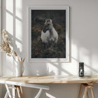 Solitary Wild Horse
